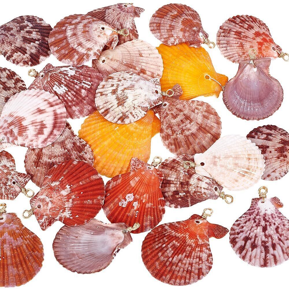 4796 25pcs Natural Shell Pendants, 1.7~2.2 inch Colorful Scallop Pendants